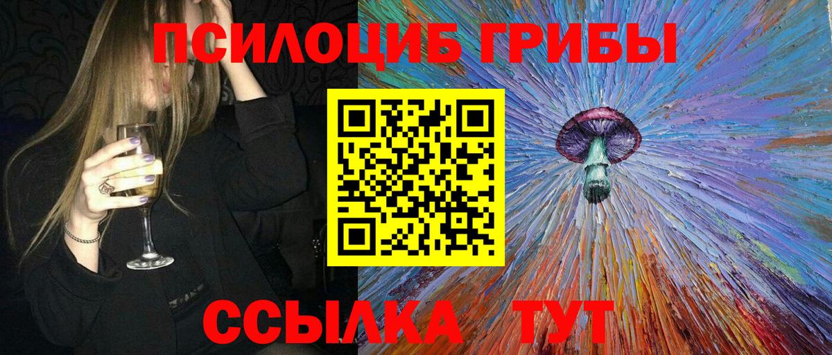 Тольятти  Галлюциногенные грибы Cubensis  Вход с VPN 